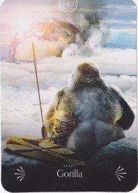 №1. Gorilla ～ゴリラ～【Divine Animals Oracle】カード解説（ディバイン アニマル オラクル シリーズ1）