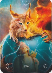 №2. Lynx ～オオヤマネコ～【Divine Animals Oracle】カード解説（ディバイン アニマル オラクル シリーズ2）