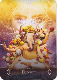 №10. Elephant ～ゾウ～【Divine Animals Oracle】カード解説（ディバイン アニマル オラクル シリーズ10）