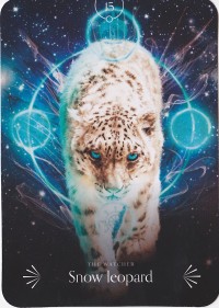 №15. Snow leopard  ～ユキヒョウ ～【Divine Animals Oracle】カード解説（ディバイン アニマル オラクル シリーズ15）