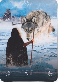 №17. Wolf ～オオカミ～【Divine Animals Oracle】カード解説（ディバイン アニマル オラクル シリーズ17）