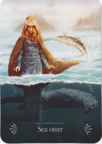 №18. Sea otter ～ラッコ ～【Divine Animals Oracle】カード解説（ディバイン アニマル オラクル シリーズ18）