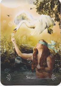 №20. Swan ～ハクチョウ～【Divine Animals Oracle】カード解説（ディバイン アニマル オラクル シリーズ20）