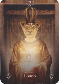 №21. Lioness  ～ライオネス ～【Divine Animals Oracle】カード解説（ディバイン アニマル オラクル シリーズ21）