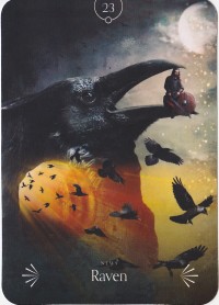 №23. Raven ～ワタリガラス～【Divine Animals Oracle】カード解説（ディバイン アニマル オラクル シリーズ23）