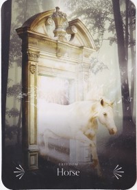 №24. Horse  ～ウマ～【Divine Animals Oracle】カード解説（ディバイン アニマル オラクル シリーズ24）