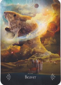 №27. Beaver  ～ビーバー～【Divine Animals Oracle】カード解説（ディバイン アニマル オラクル シリーズ27）