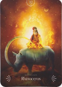 №32. Rhinoceros ～サイ～【Divine Animals Oracle】カード解説（ディバイン アニマル オラクル シリーズ32）
