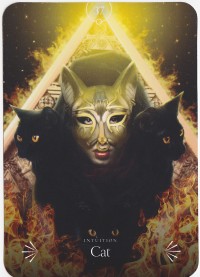 №37. Cat ～ネコ～【Divine Animals Oracle】カード解説（ディバイン アニマル オラクル シリーズ37）