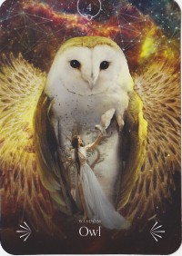 №4. Owl ～フクロウ～【Divine Animals Oracle】カード解説（ディバイン アニマル オラクル シリーズ4）
