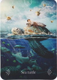 №8. Sea turtle ～ウミガメ～【Divine Animals Oracle】カード解説（ディバイン アニマル オラクル シリーズ8）