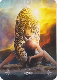 №9. Jaguar  ～ジャガー ～【Divine Animals Oracle】カード解説（ディバイン アニマル オラクル シリーズ9）