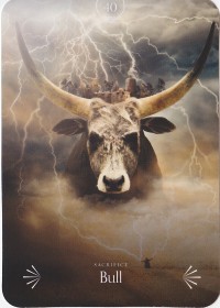№40.  Bull ～ブル～【Divine Animals Oracle】カード解説（ディバイン アニマル オラクル シリーズ40）