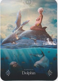 №42.  Dolphin ～イルカ～【Divine Animals Oracle】カード解説（ディバイン アニマル オラクル シリーズ42）