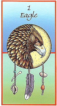 №1. Eagle ～イーグル（鷲）～【Medicine Cards】カード解説（メディスン・カード）