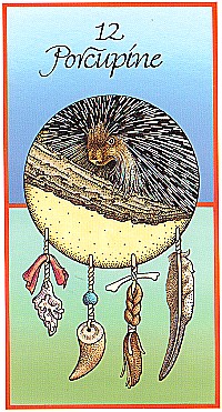№12. Porcupine  ～ヤマアラシ ～【Medicine Cards】カード解説（メディスン・カード）