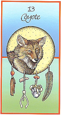 №13. Coyote ～コヨーテ～【Medicine Cards】カード解説（メディスン・カード）