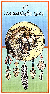 №17. Mountain Lion ～マウンテン・ライオン（クーガー）～【Medicine Cards】カード解説（メディスン・カード）