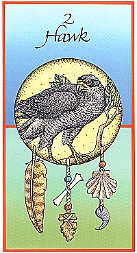 №2. Hawk ～タカ（鷹）～【Medicine Cards】カード解説（メディスン・カード）