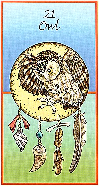 №21. Owl ～フクロウ～【Medicine Cards】カード解説（メディスン・カード）