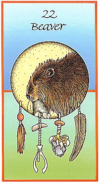 №22. Beaver  ～ビーバー ～【Medicine Cards】カード解説（メディスン・カード）