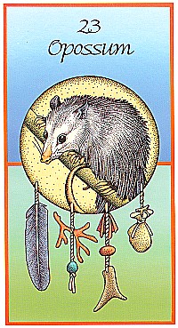 №23. Opossum ～オポッサム（フクロネズミ）～【Medicine Cards】カード解説（メディスン・カード）
