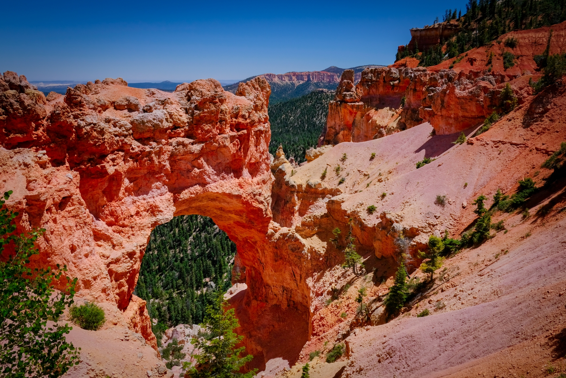 Walking The Good Red Road アメリカ先住民インディアンの赤い道