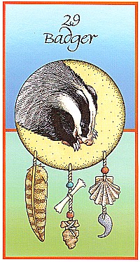 №29. Badger  ～アナグマ ～【Medicine Cards】カード解説（メディスン・カード）