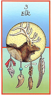 №3. Elk ～エルク（ヘラジカ）～【Medicine Cards】カード解説（メディスン・カード）