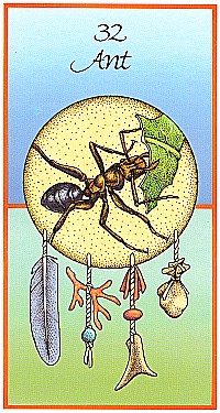№32. Ant  ～アリ（蟻） ～【Medicine Cards】カード解説（メディスン・カード）