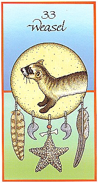 №33. Weasel  ～イタチ～【Medicine Cards】カード解説（メディスン・カード）