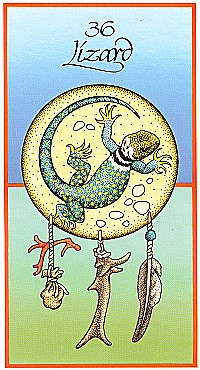 №36. Lizard  ～トカゲ ～【Medicine Cards】カード解説（メディスン・カード）