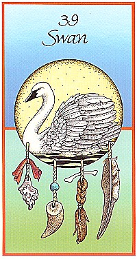 №39. Swan  ～スワン（白鳥）～【Medicine Cards】カード解説（メディスン・カード）