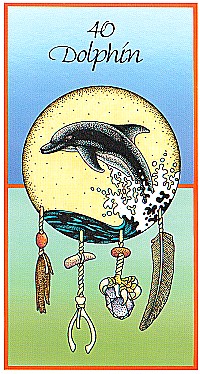 №40. Dolphin  ～ドルフィン（イルカ） ～【Medicine Cards】カード解説（メディスン・カード）