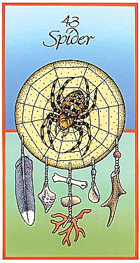 №43. Spider  ～スパイダー（クモ） ～【Medicine Cards】カード解説（メディスン・カード）