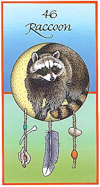 №46. Raccoon  ～アライグマ～【Medicine Cards】カード解説（メディスン・カード）