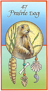 №47. Prairie Dog  ～プレーリードッグ ～【Medicine Cards】カード解説（メディスン・カード）