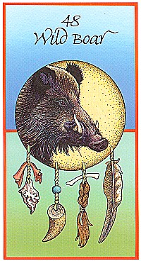 №48. Wild Boar  ～イノシシ～【Medicine Cards】カード解説（メディスン・カード）