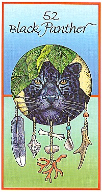 №52. Black Panther  ～ブラックパンサー（黒ヒョウ）～【Medicine Cards】カード解説（メディスン・カード）