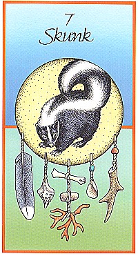 №7. Skunk ～スカンク～【Medicine Cards】カード解説（メディスン・カード）